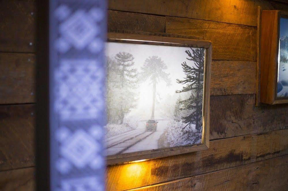 Newen B&B Pucón Exteriér fotografie